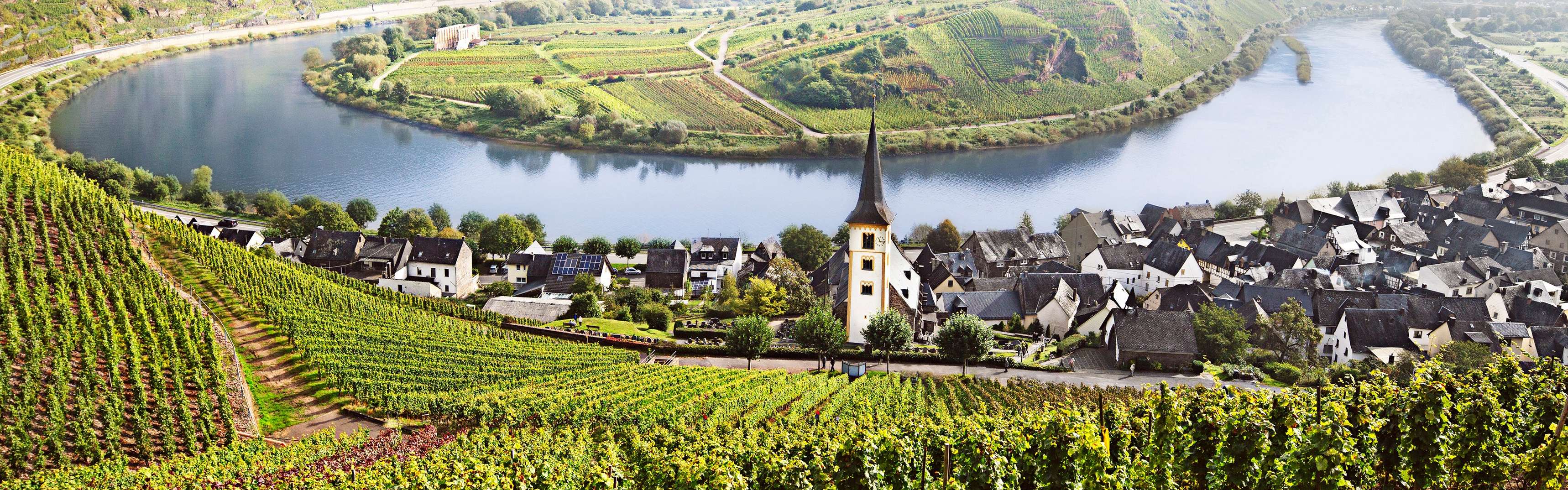 Explore 4 German wine regions